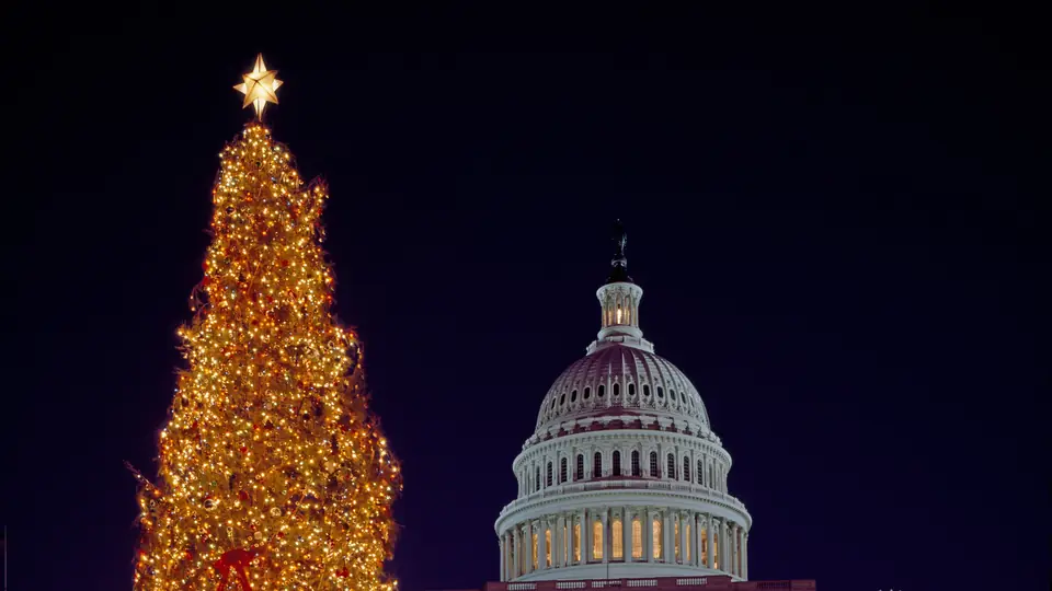 Lit Christmas tree in front of the U.S. Capitol dome at night