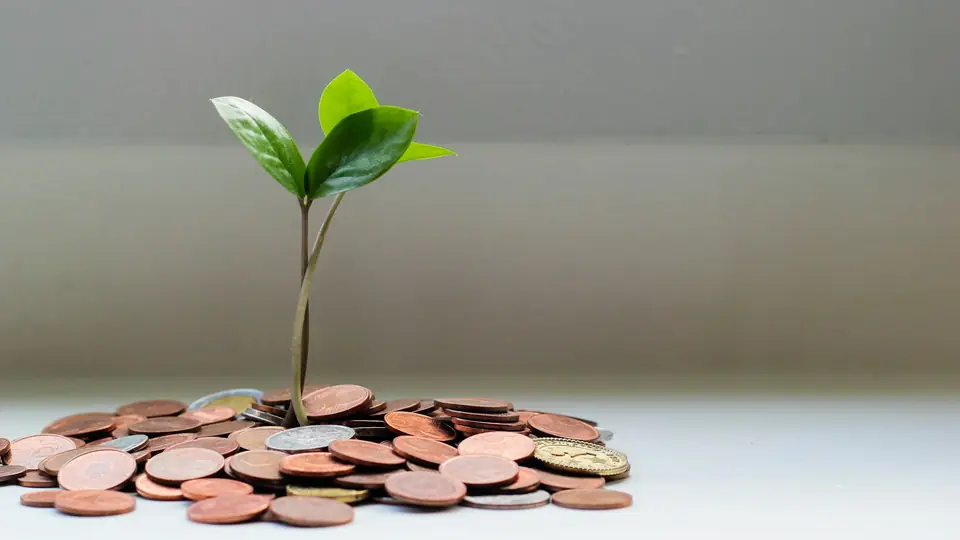 A green seedling growing from a pile of coins